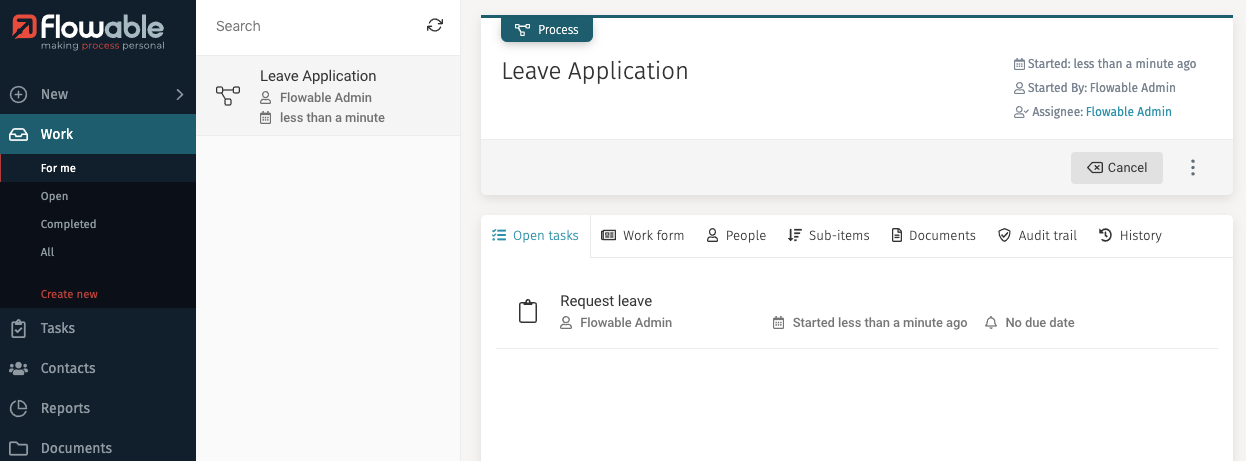 Process instance runtime