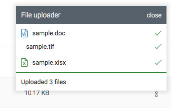 210C document upload status